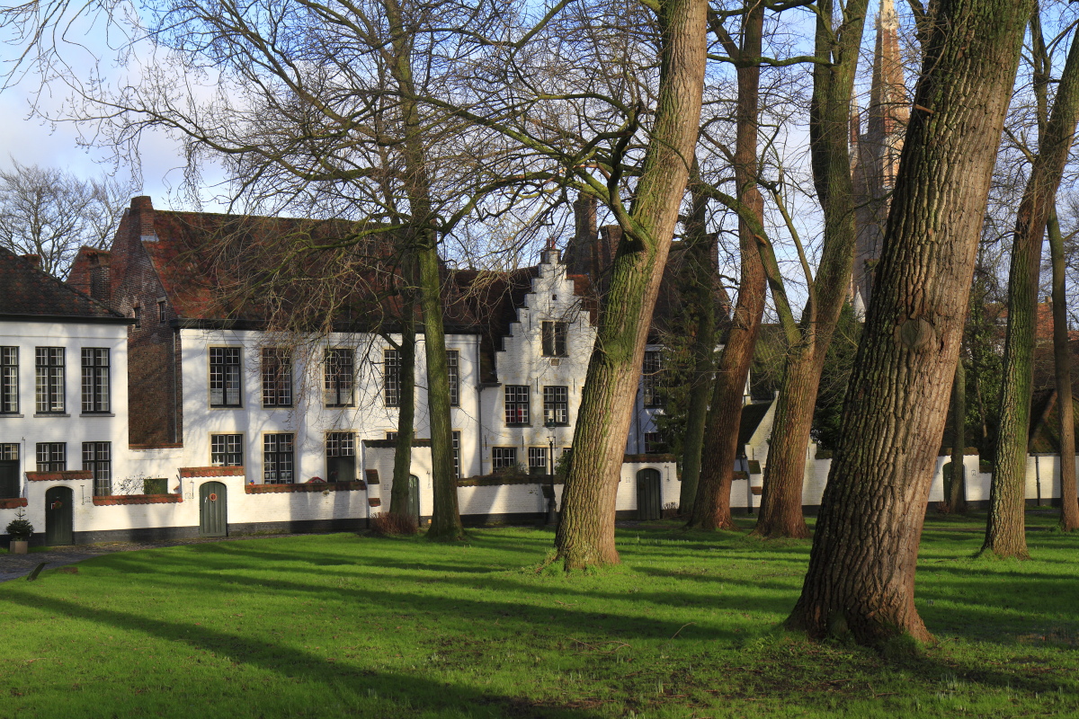 01.04 Brügge  MG 0080