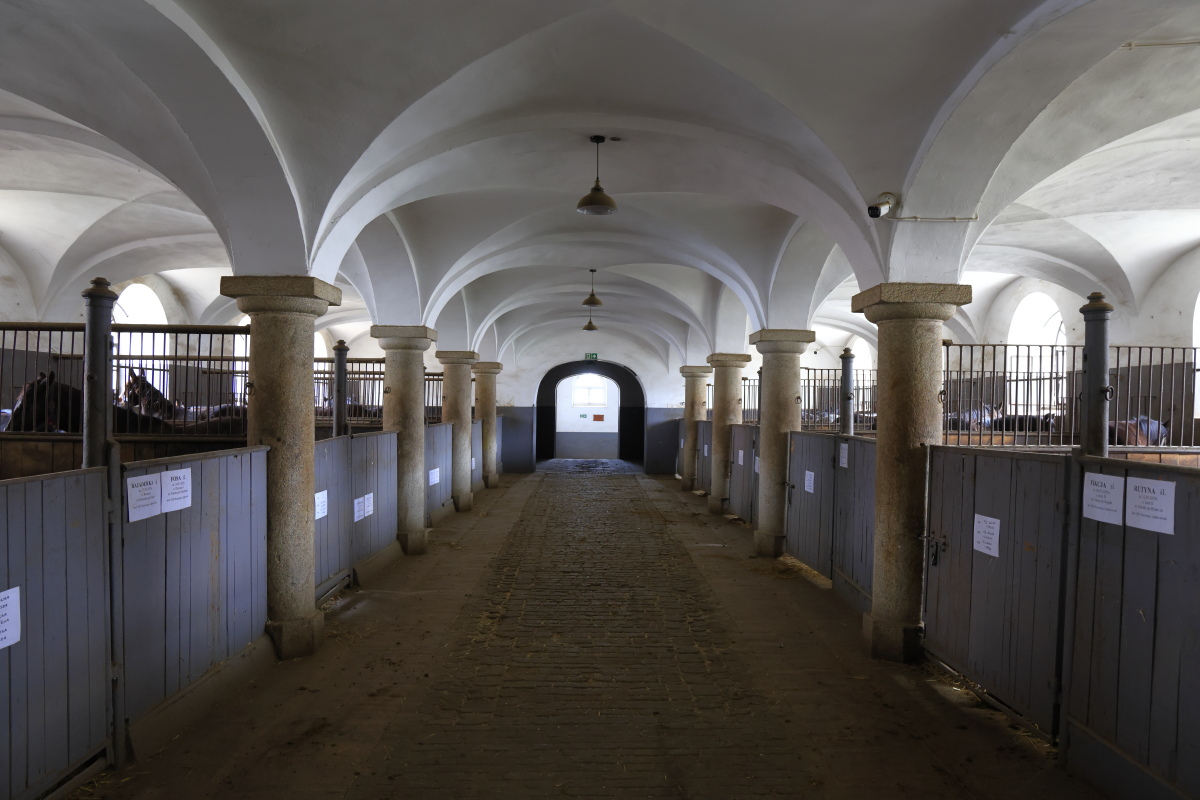 04.03 Niederschlesien  08A0058