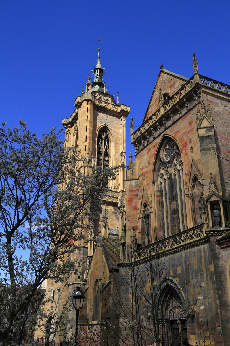 03.28 Elsass  MG 0127