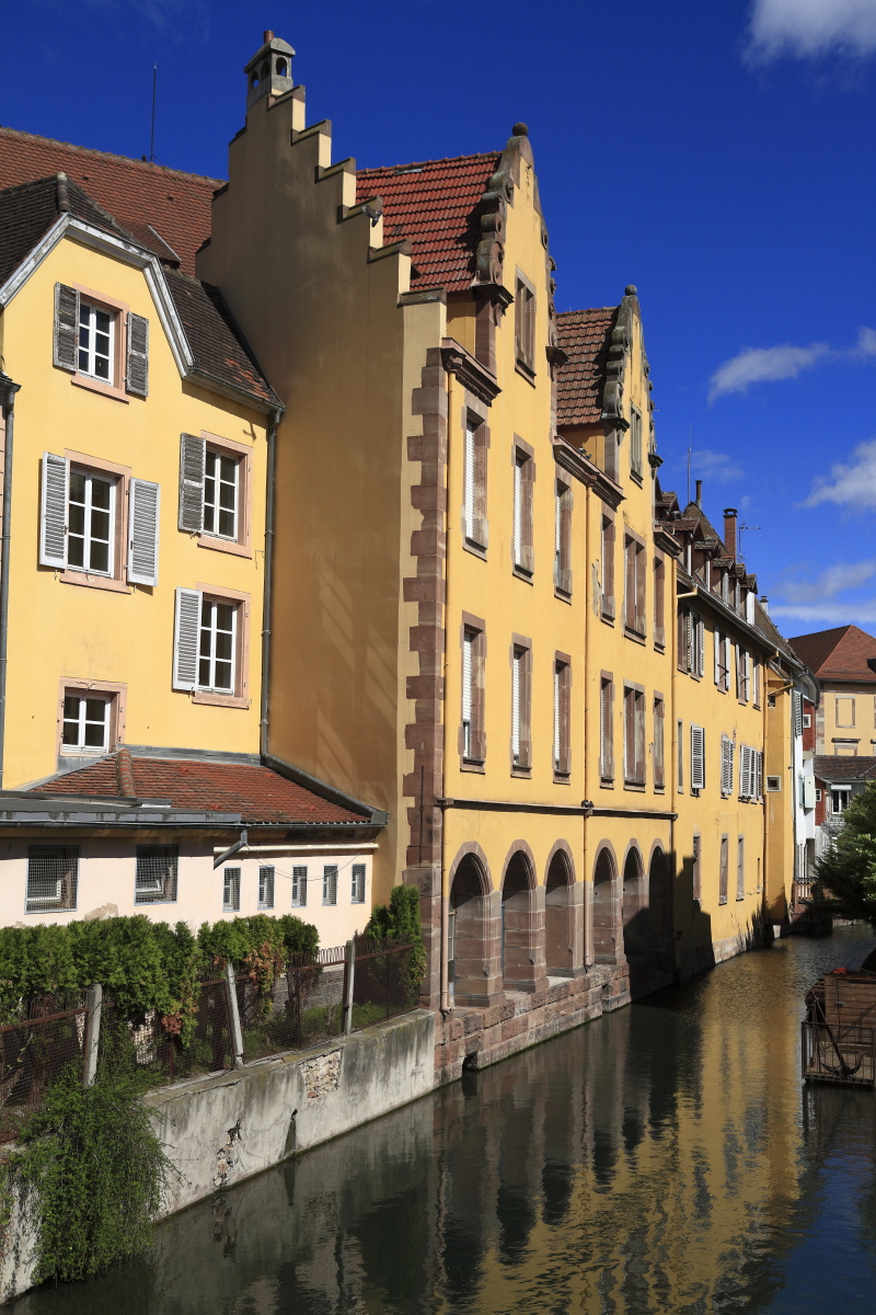 03.28 Elsass  MG 0142