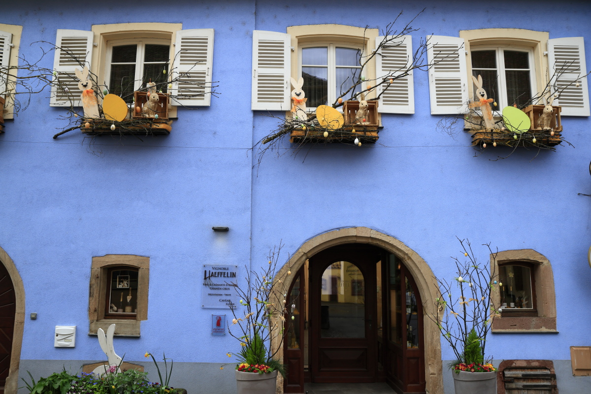 03.29 Elsass  MG 0196