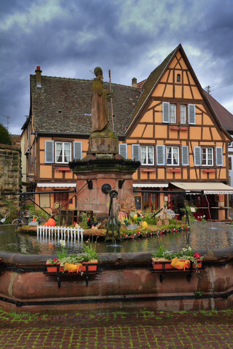 03.29 Elsass  MG 0199