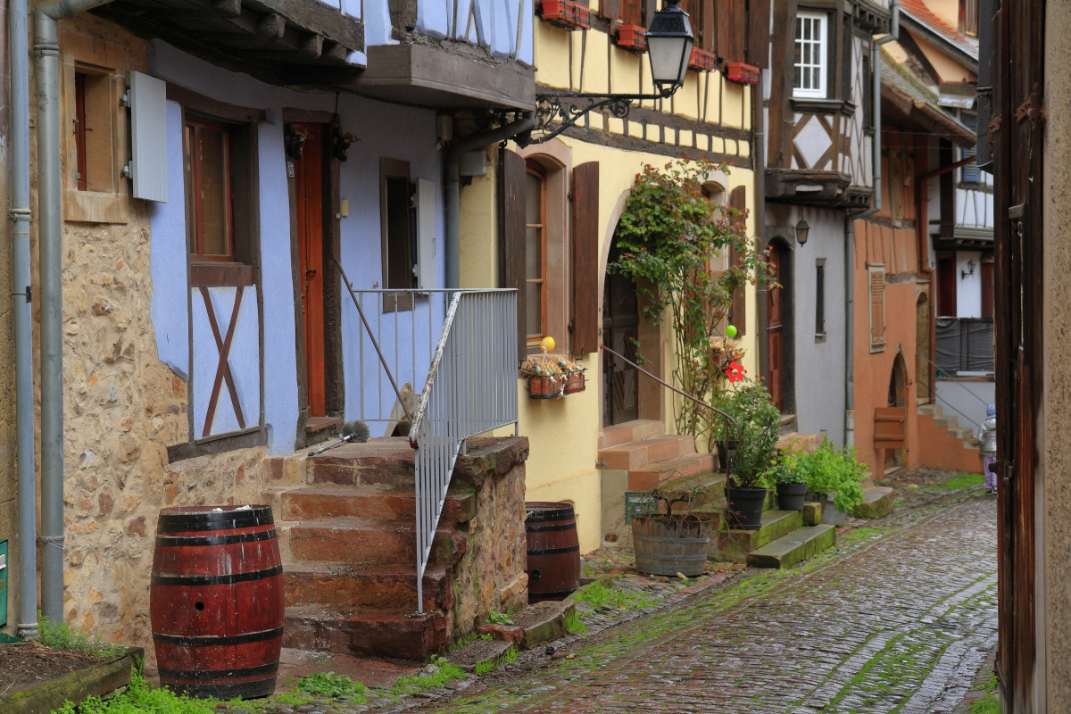 03.29 Elsass  MG 0215