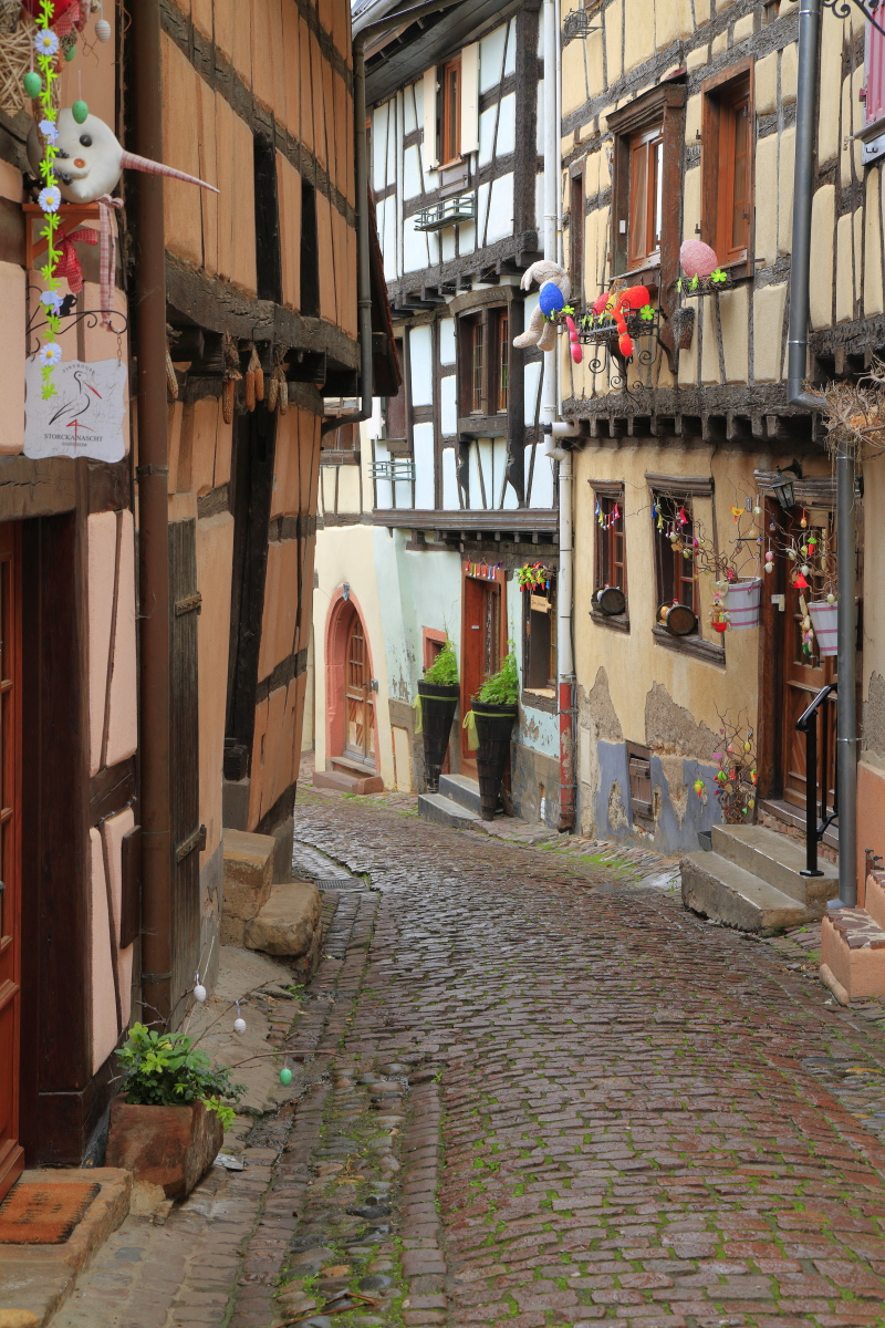 03.29 Elsass  MG 0235