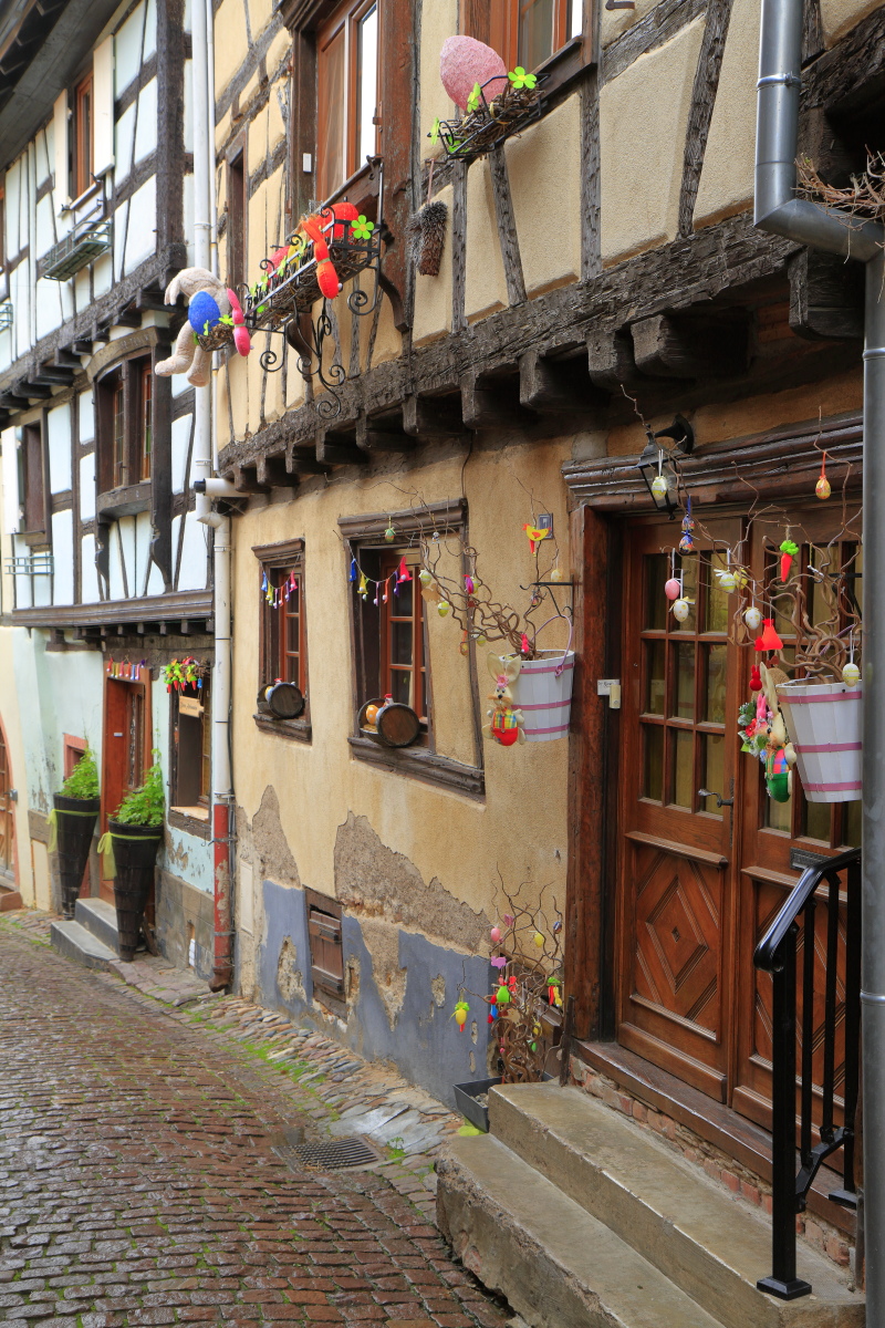 03.29 Elsass  MG 0236