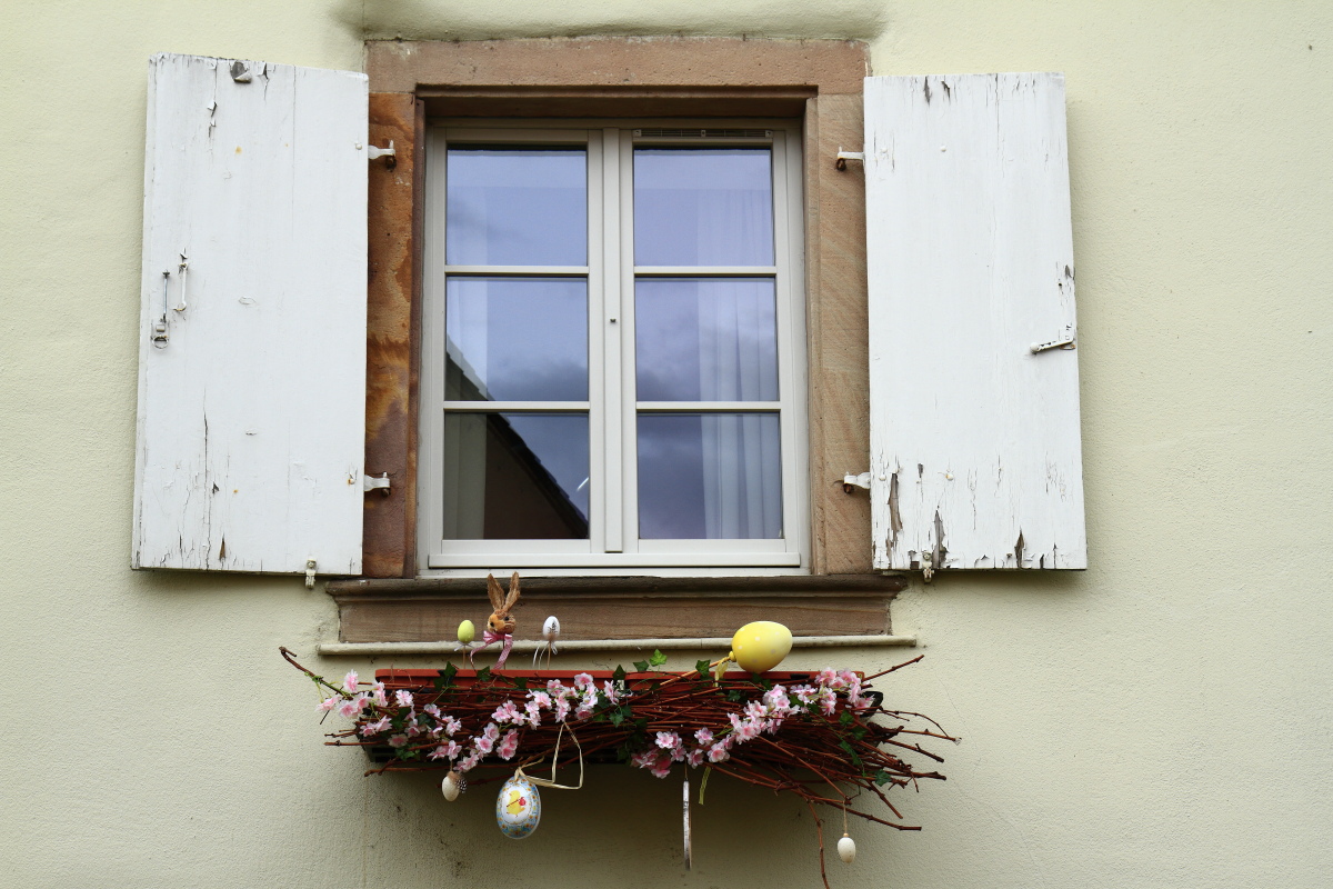 03.29 Elsass  MG 0239