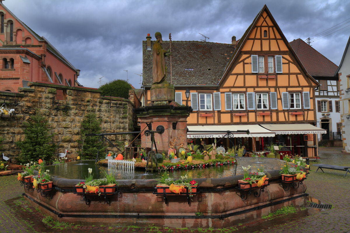 03.29 Elsass  MG 0243