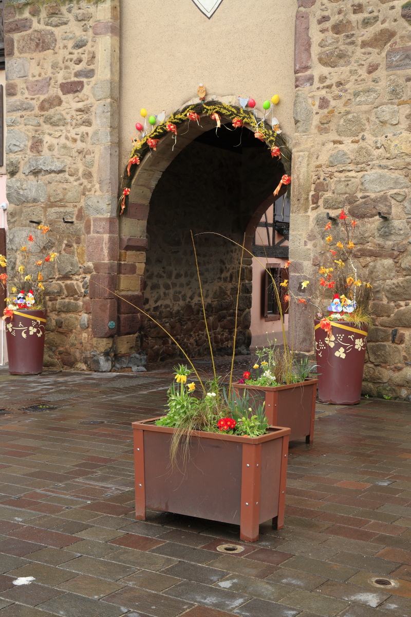 03.29 Elsass  MG 0252