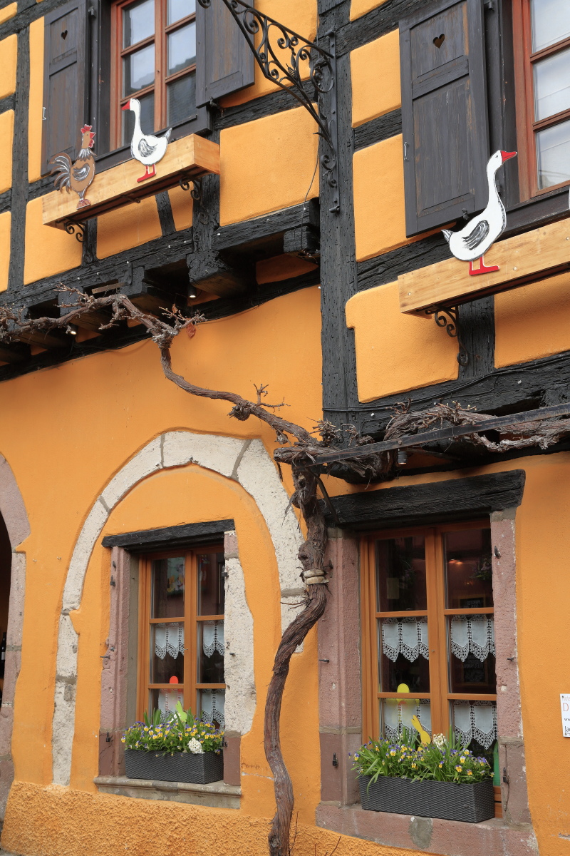 03.29 Elsass  MG 0291