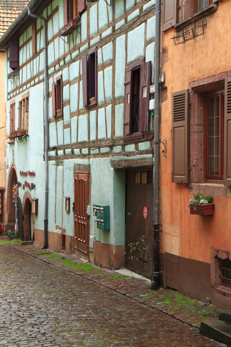 03.29 Elsass  MG 0303