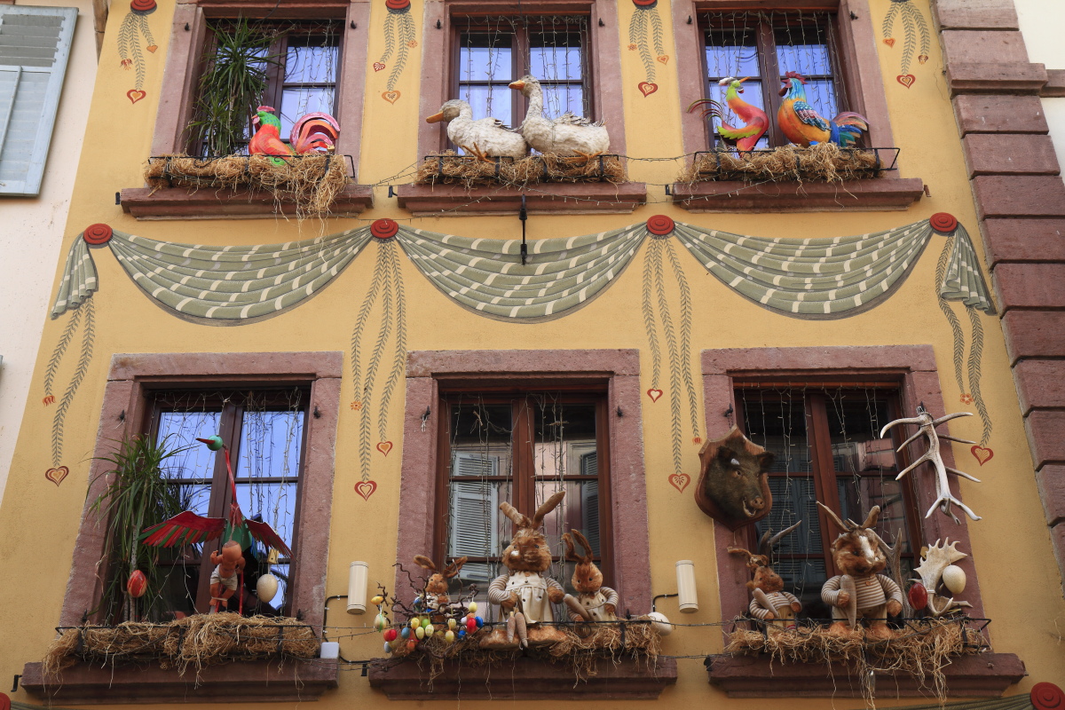 03.29 Elsass  MG 0336