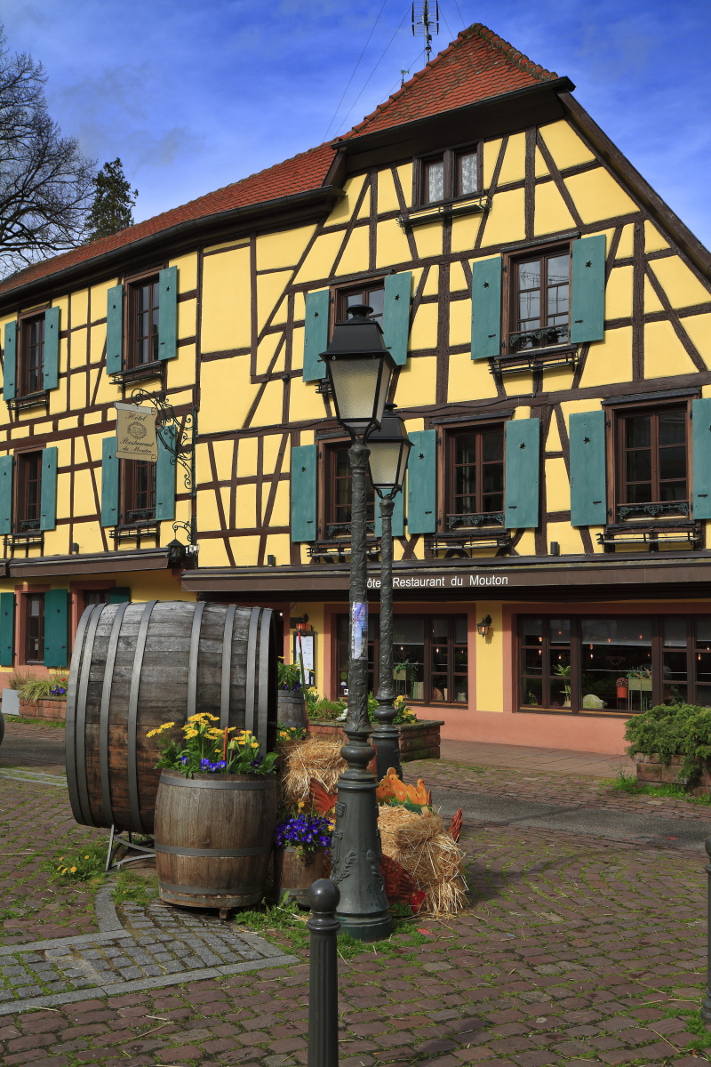 03.29 Elsass  MG 0346