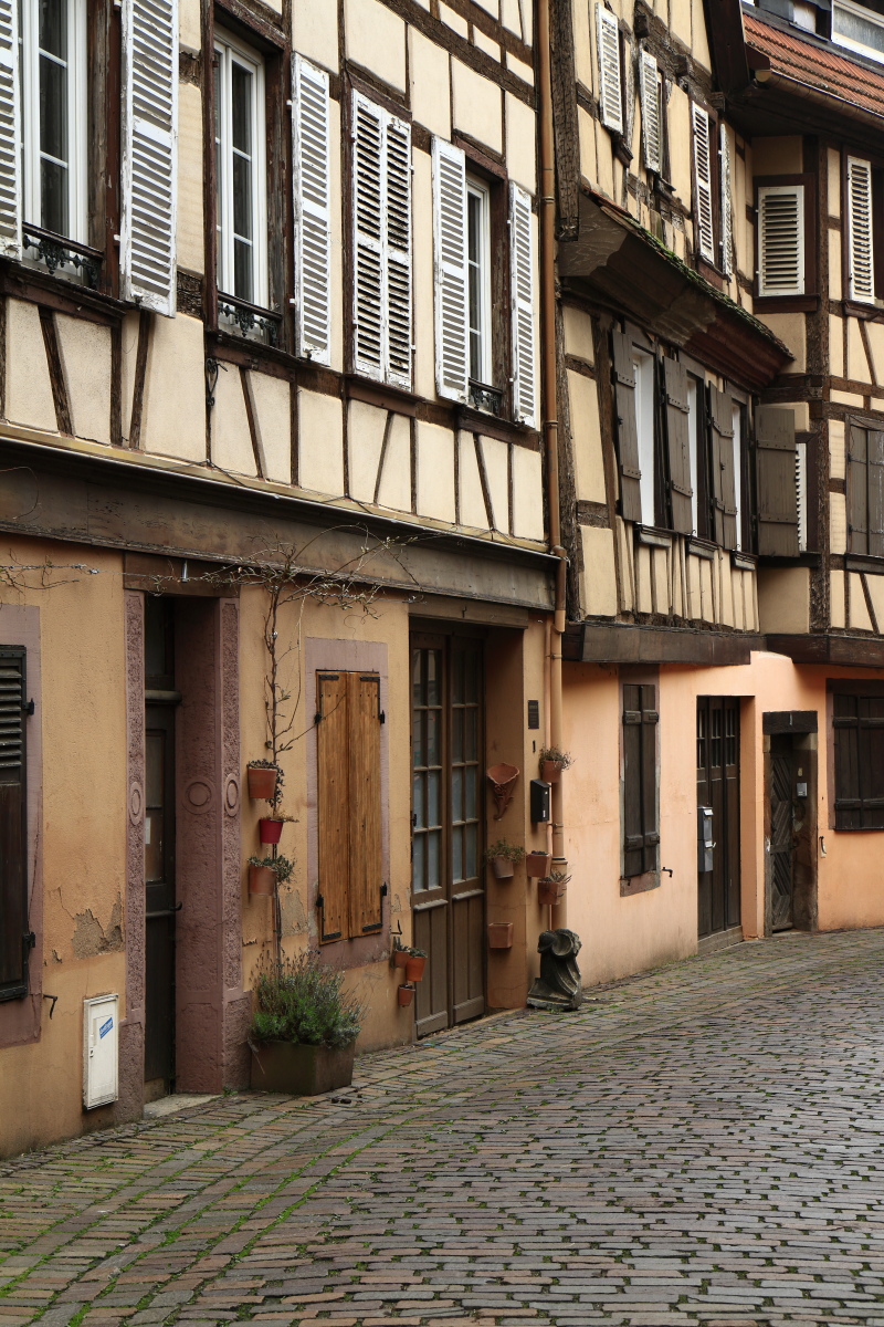 03.30 Elsass  MG 0399