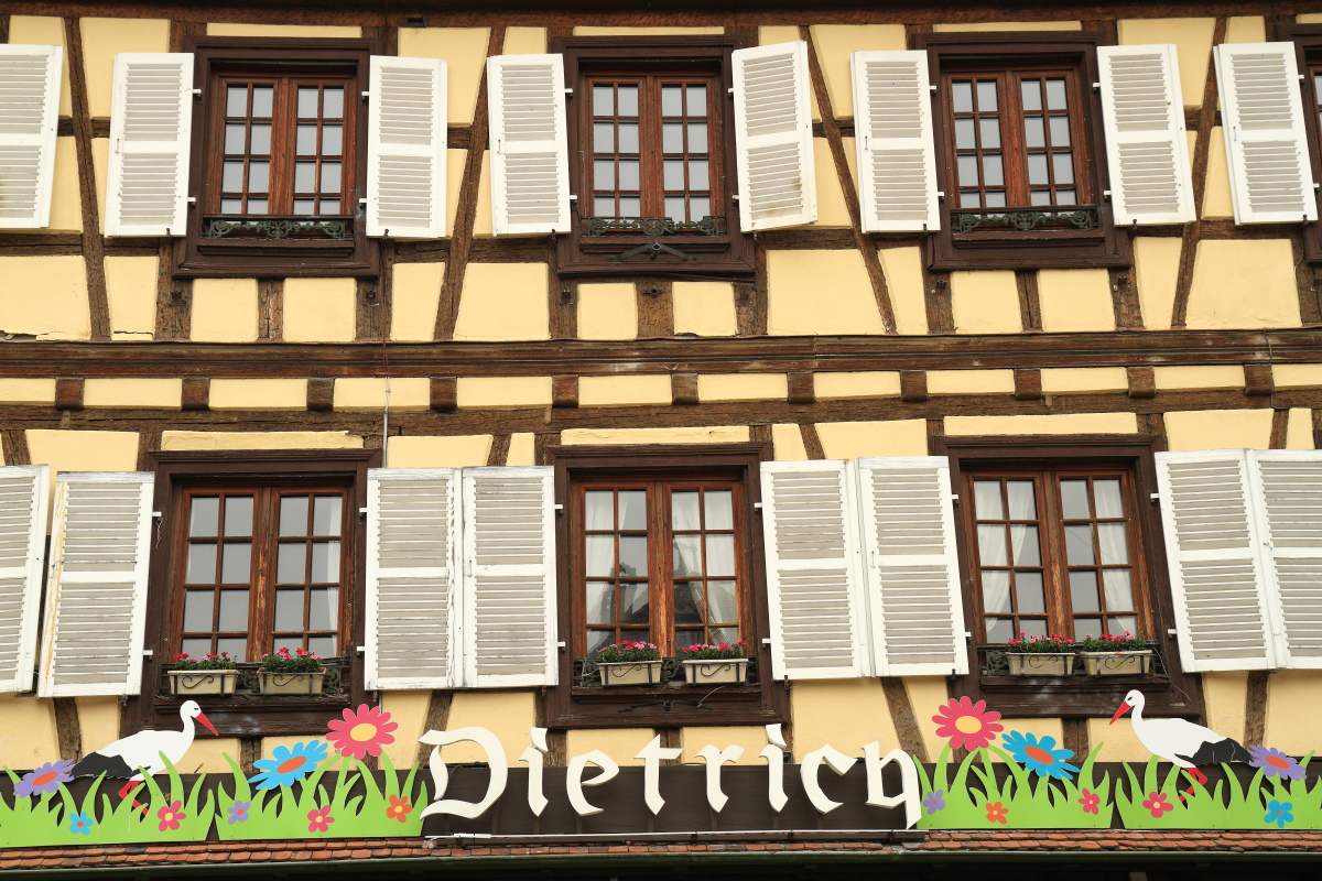 03.30 Elsass  MG 0410