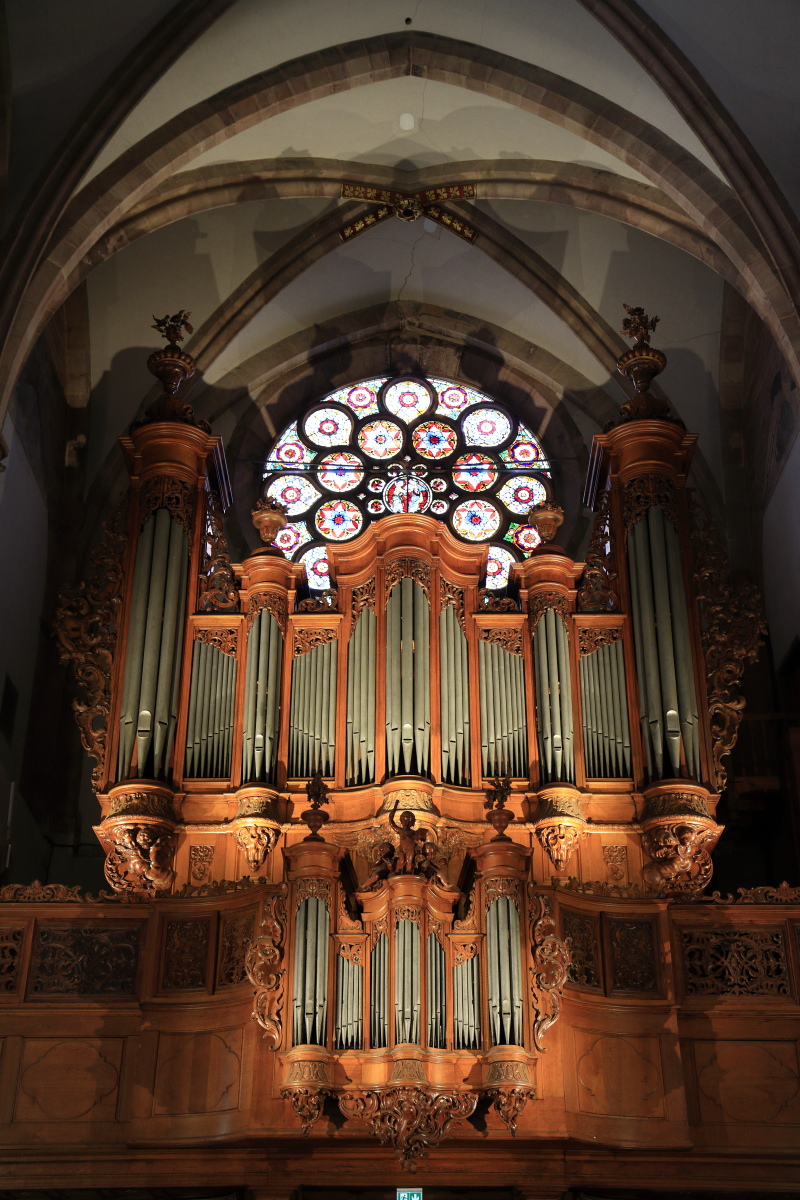 03.31 Elsass  MG 0501