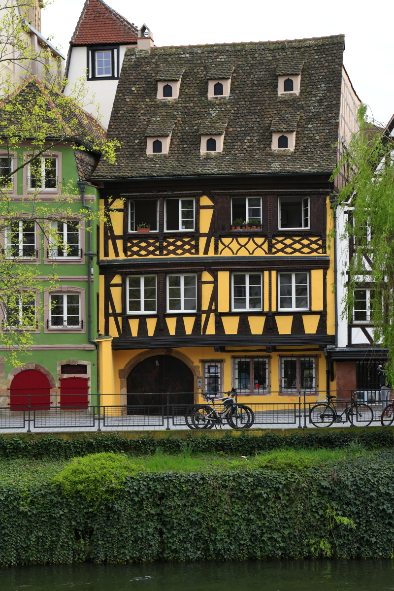 03.31 Elsass  MG 0522