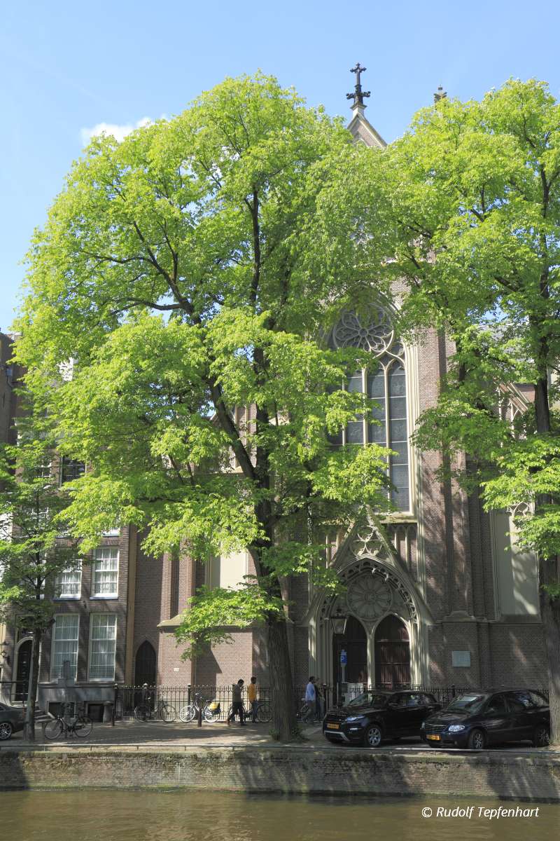 Houses in Amsterdam, Holland