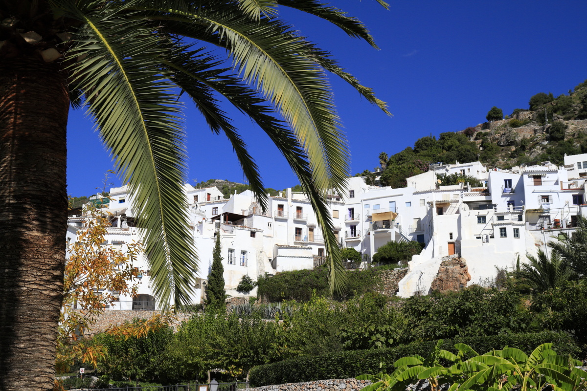 11.06 Andalusien  MG 4385