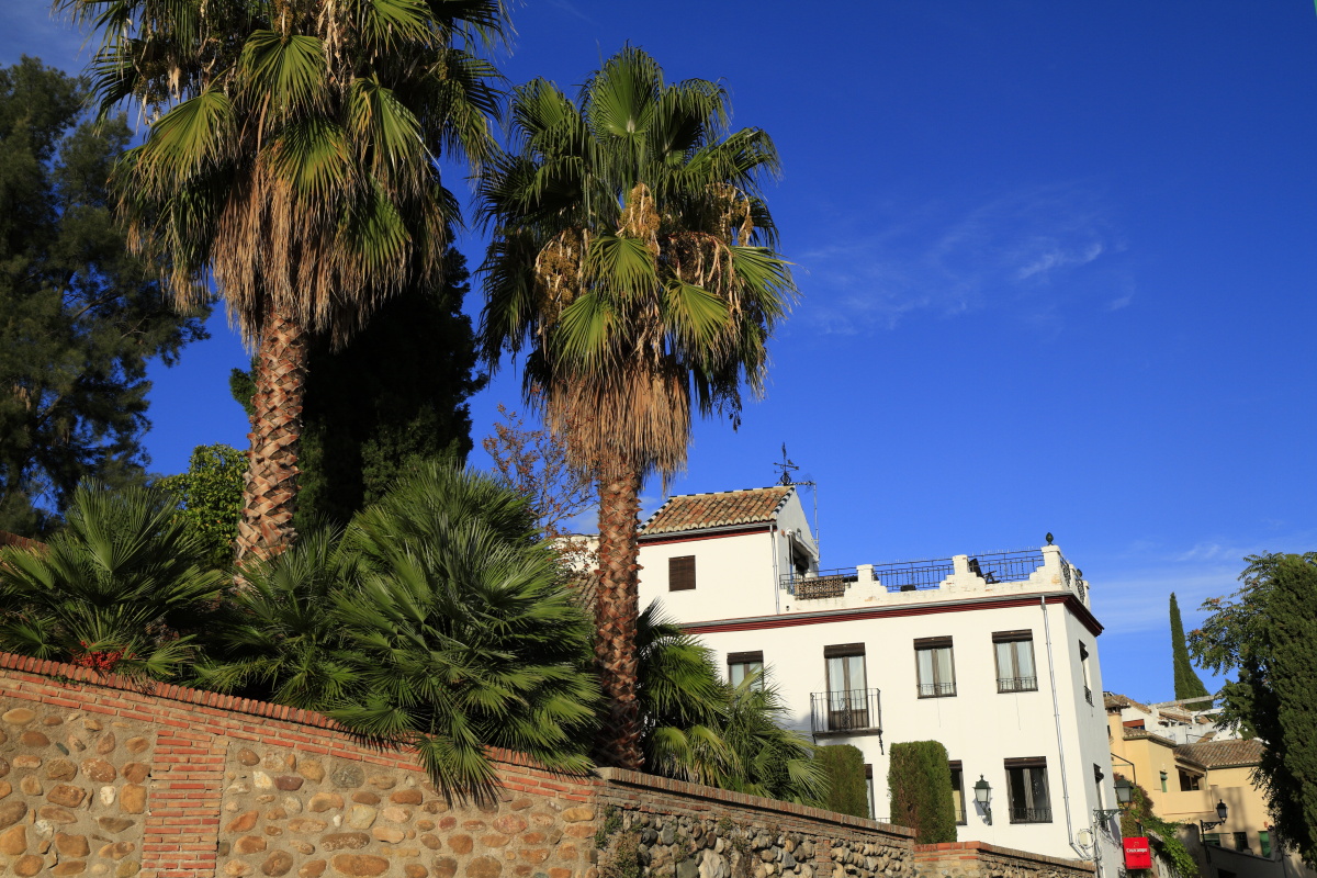 11.06 Andalusien  MG 4424