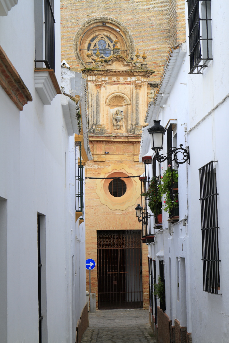 11.10 Andalusien  MG 4778