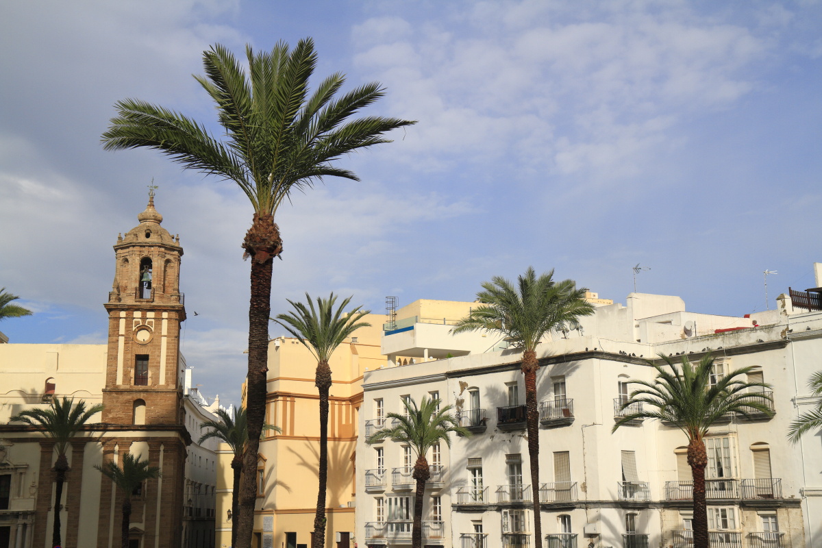 11.13 Andalusien  MG 4985