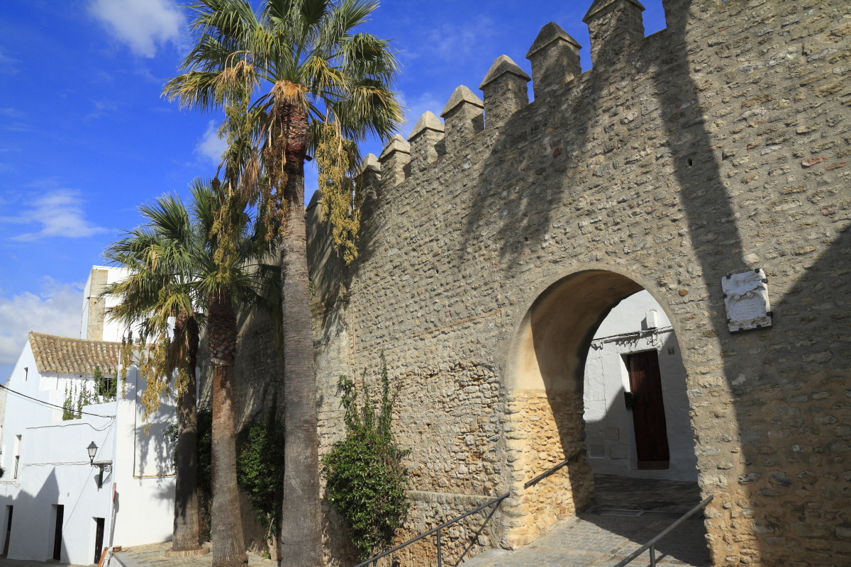 11.13 Andalusien  MG 5020