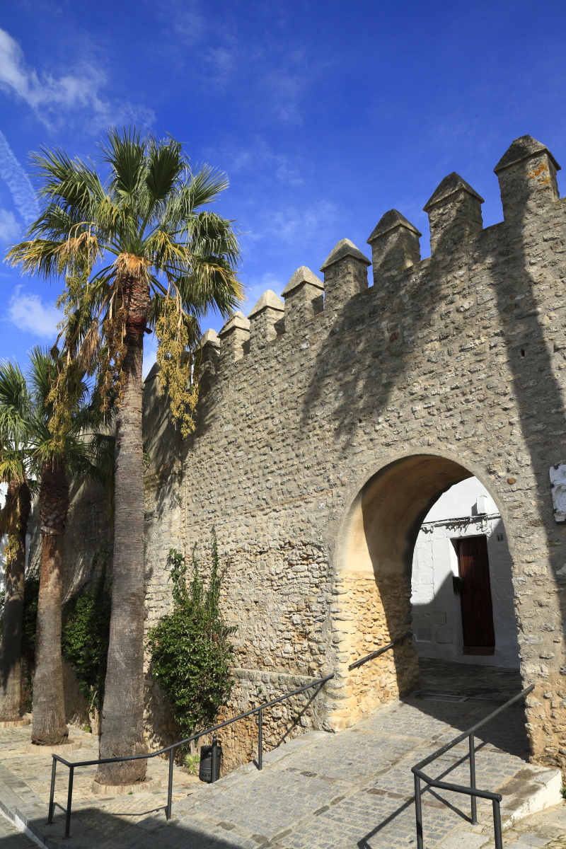 11.13 Andalusien  MG 5021