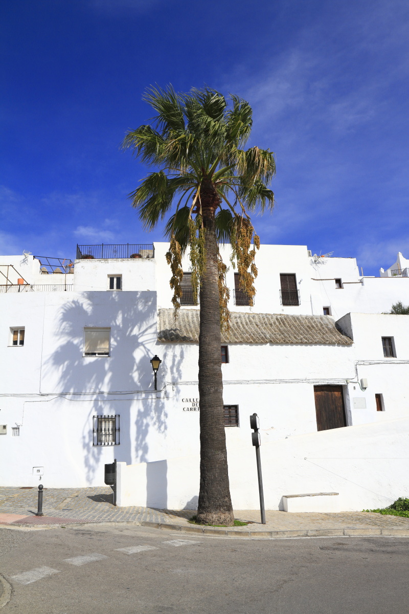 11.13 Andalusien  MG 5026