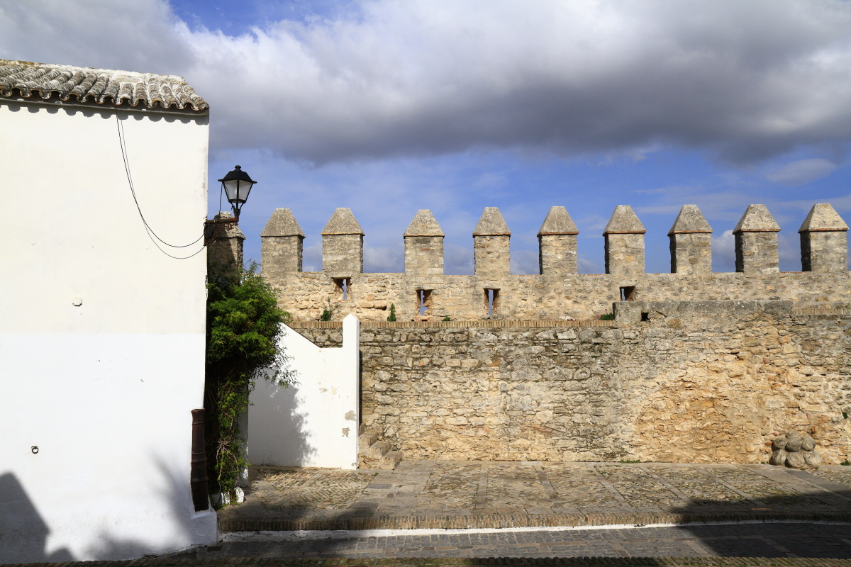 11.13 Andalusien  MG 5047