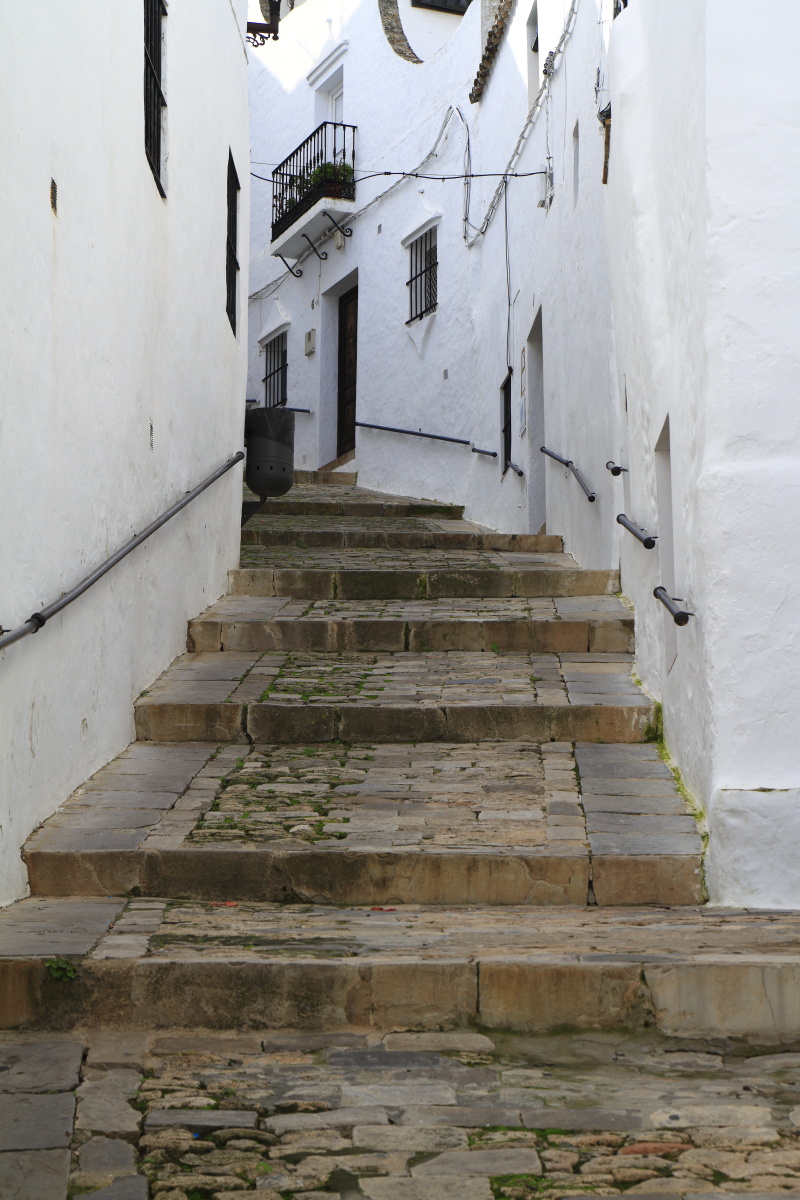 11.13 Andalusien  MG 5054