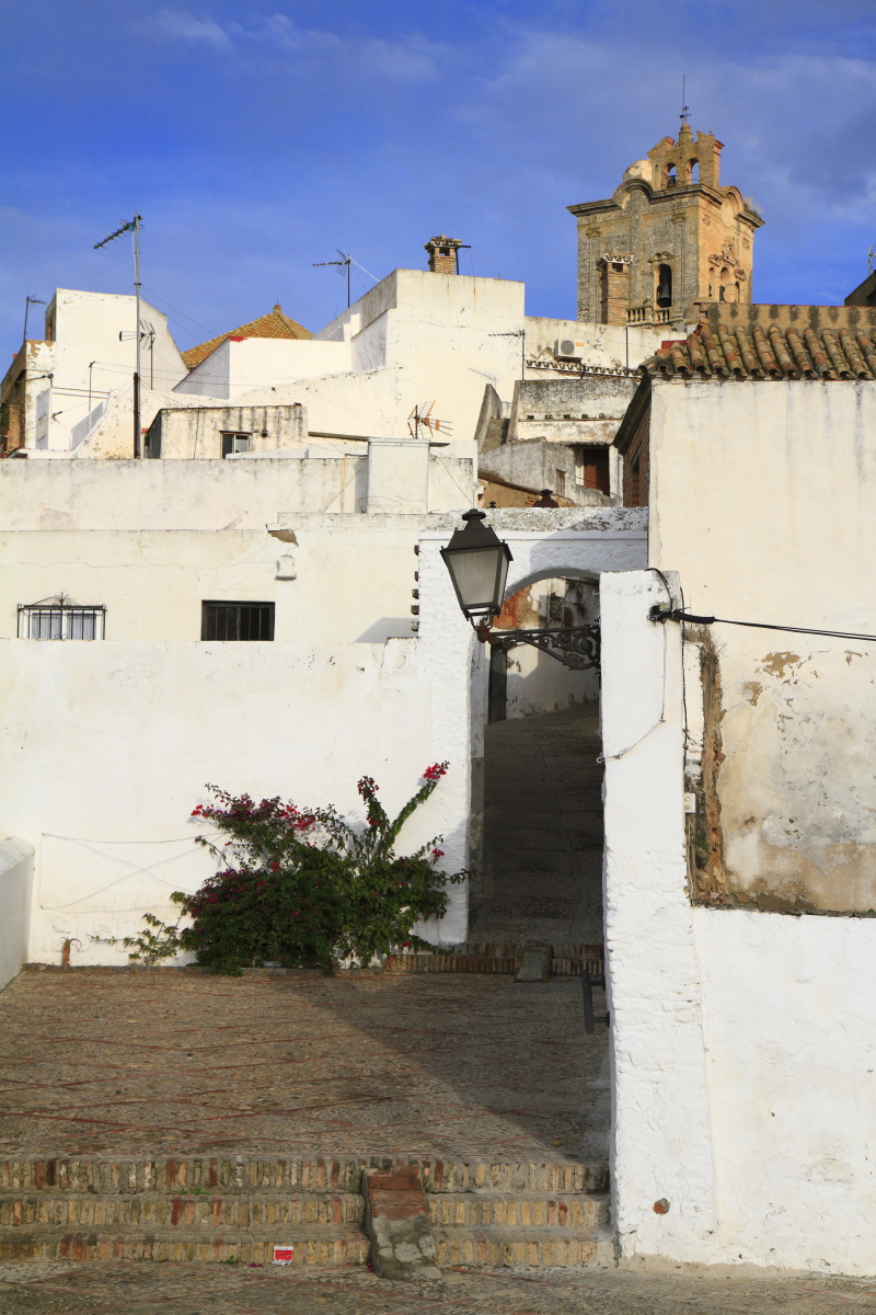 11.14 Andalusien  MG 5073