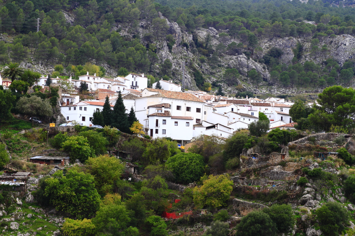 11.14 Andalusien  MG 5116