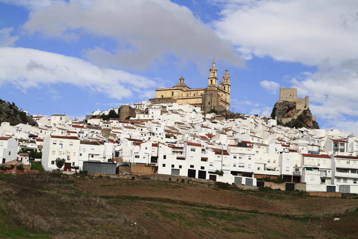 11.14 Andalusien  MG 5118