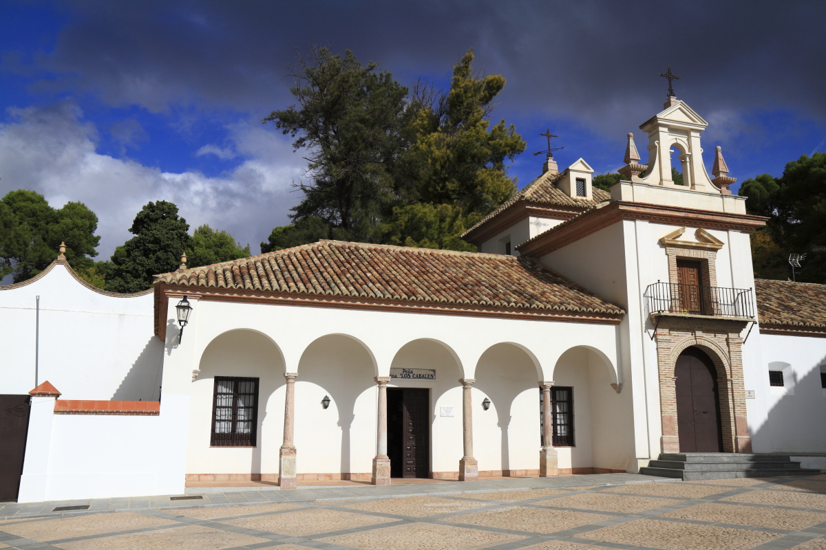 11.17 Andalusien  MG 5350