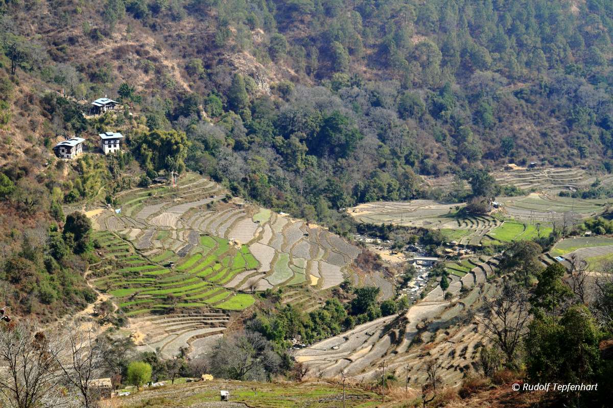 Wangdue Phodrang Valley, Bhutan