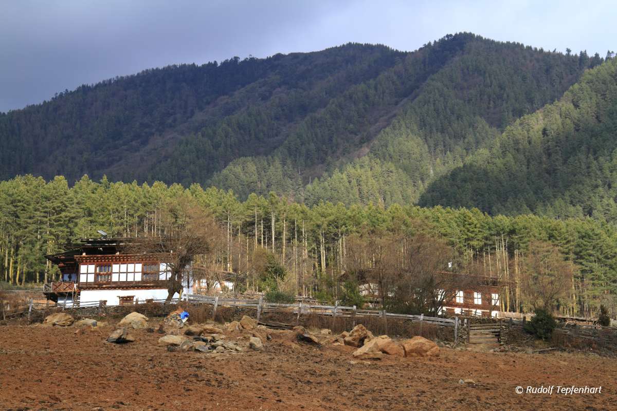 Countryside houses, Bhutan
