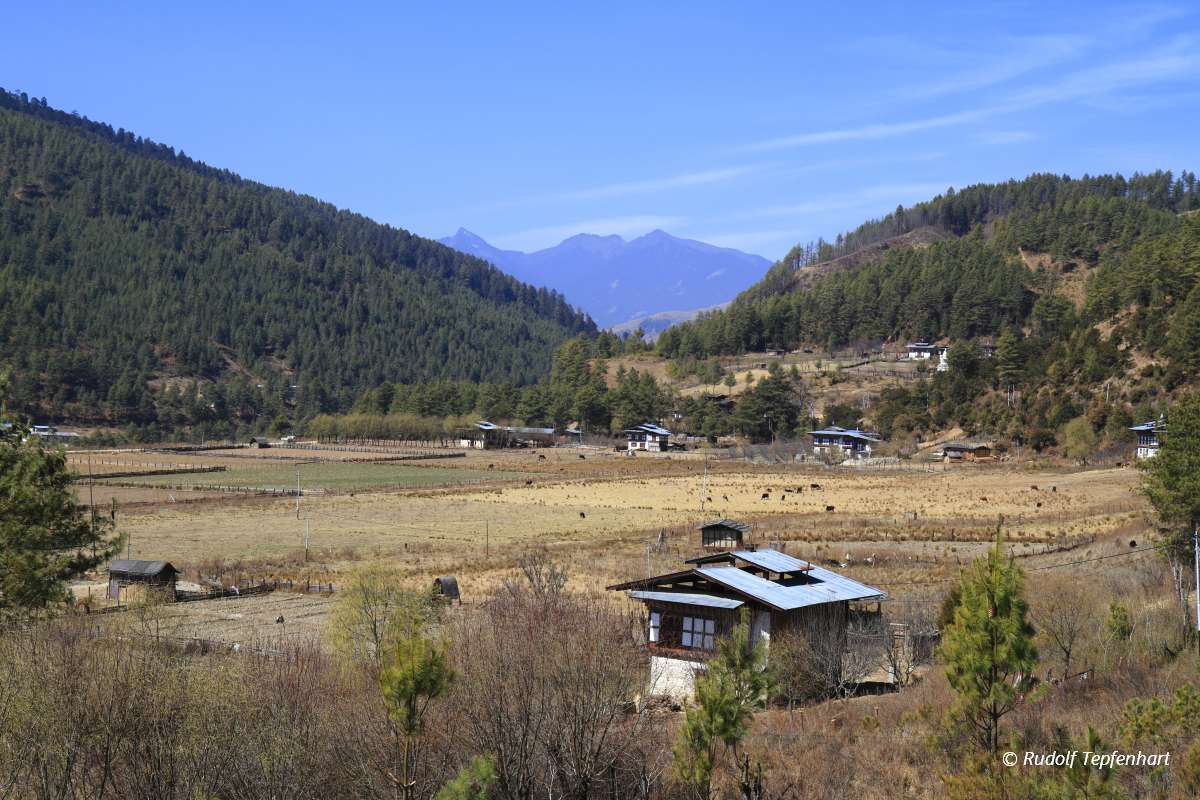Countryside houses, Bhutan