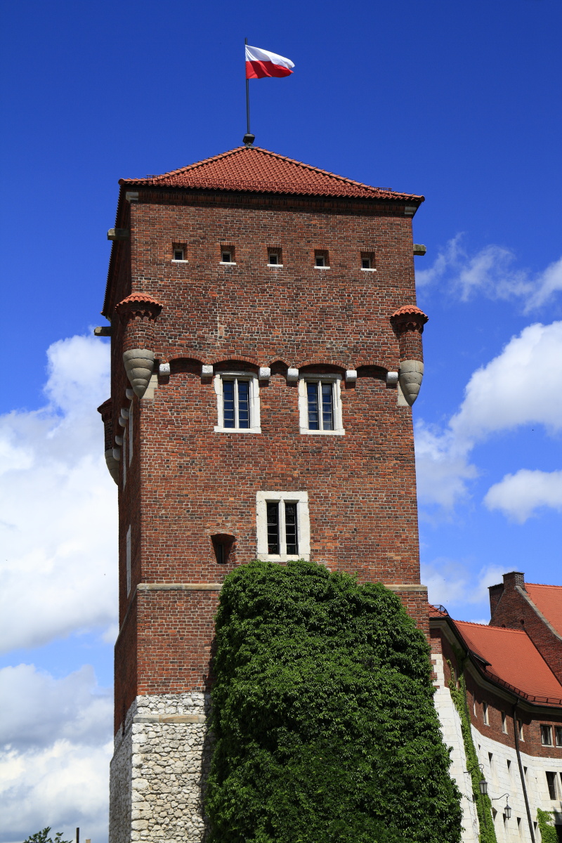 06.01 Krakau  MG 1001