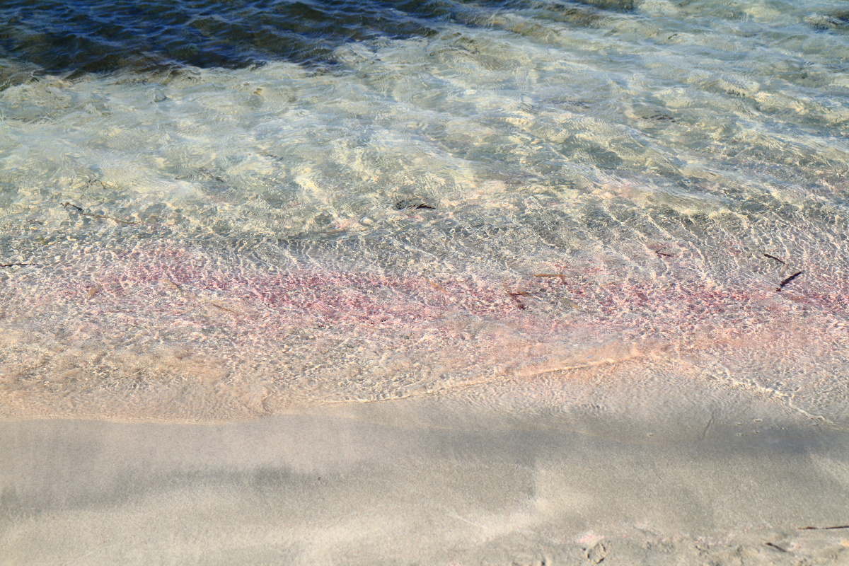 08.15 Kreta  MG 2582