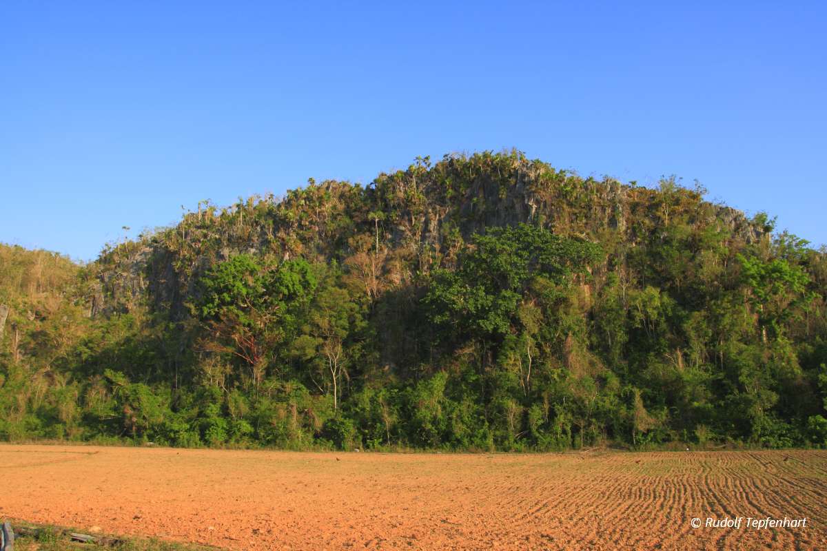 The Vinales Valley