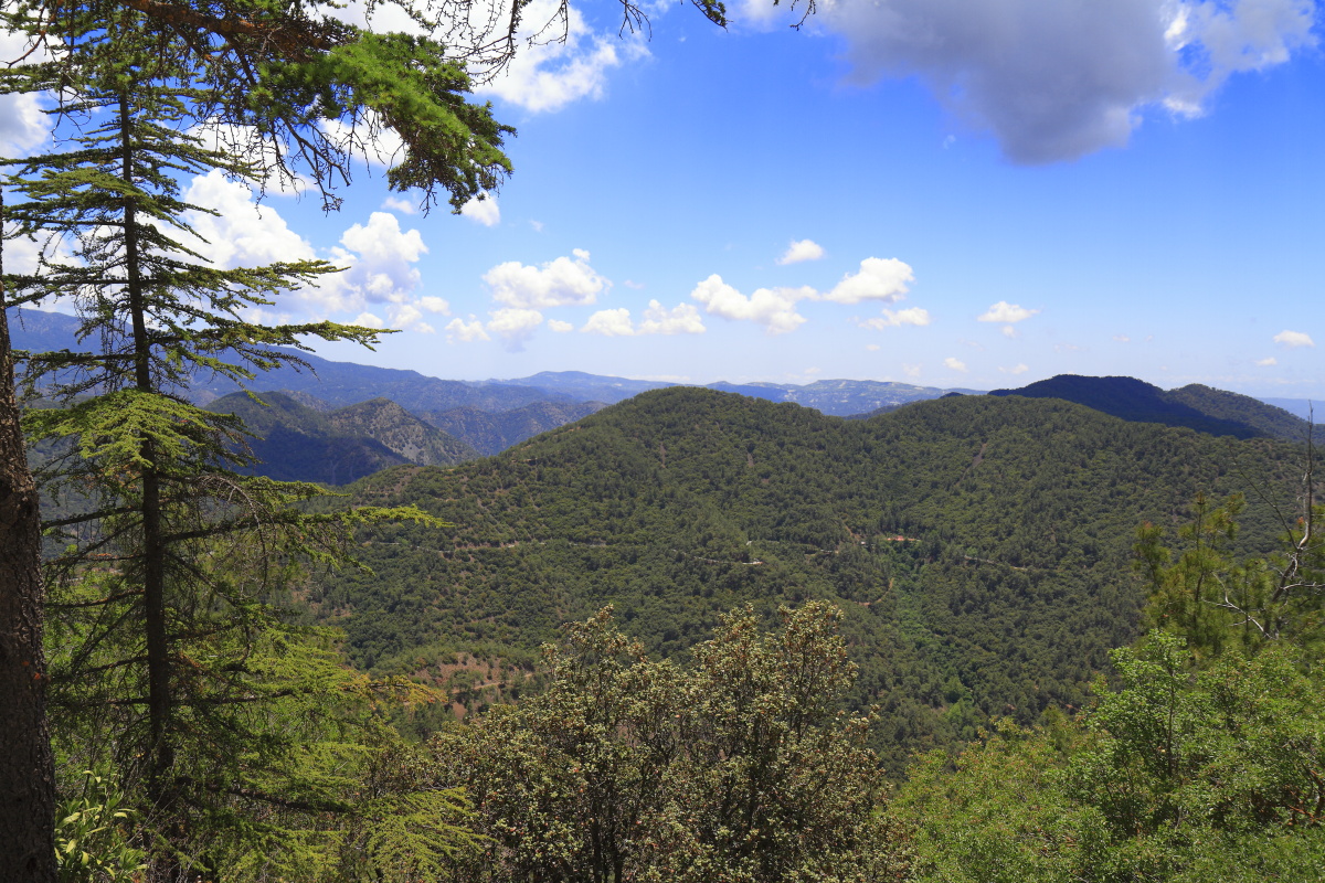 05.29 Zypern  MG 2318