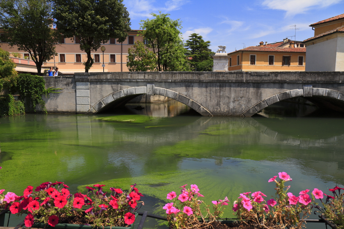 07.17 Friaul  MG 1047