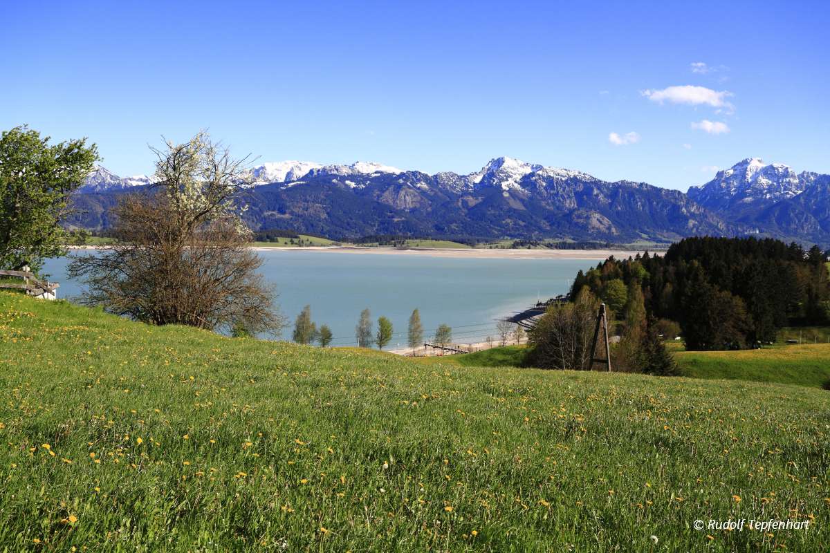 Hohenschwangau and Alpsee Lake