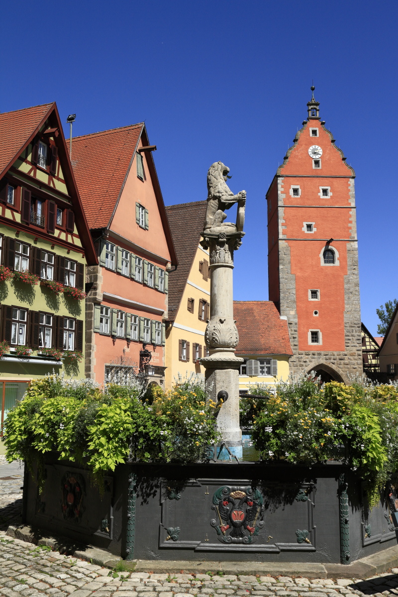 08.18 Dinkelsbühl  MG 6510