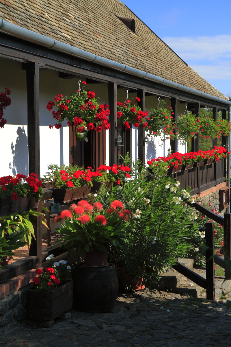 08.24 Hollókő  MG 8847