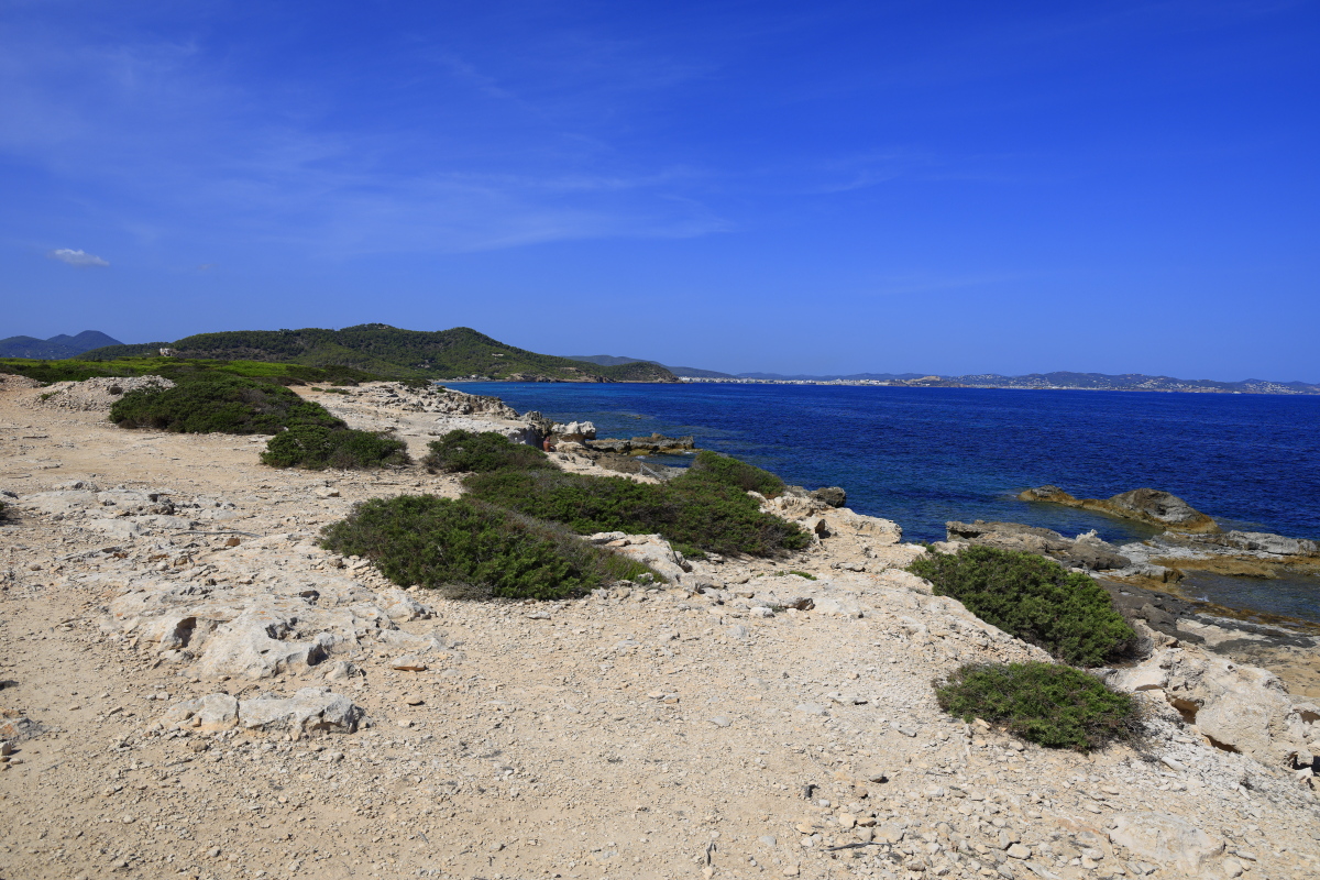 09.05 Ibiza  08A1573