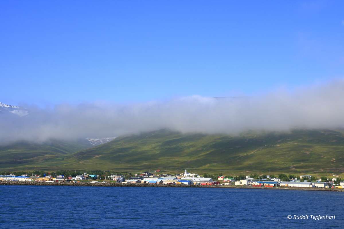 Dalvik