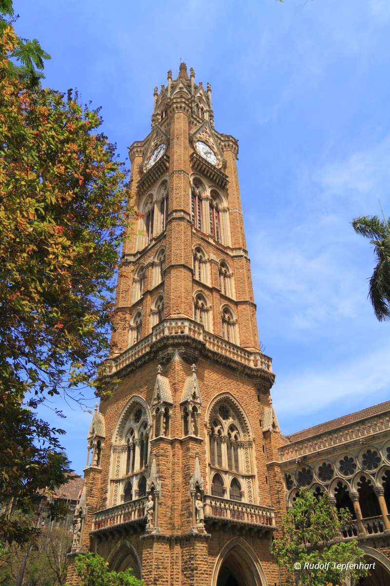 The University of Mumbai