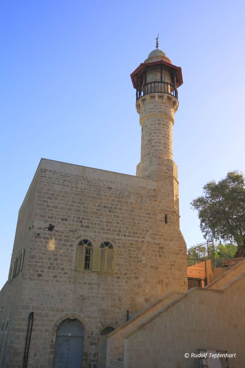 Jaffa