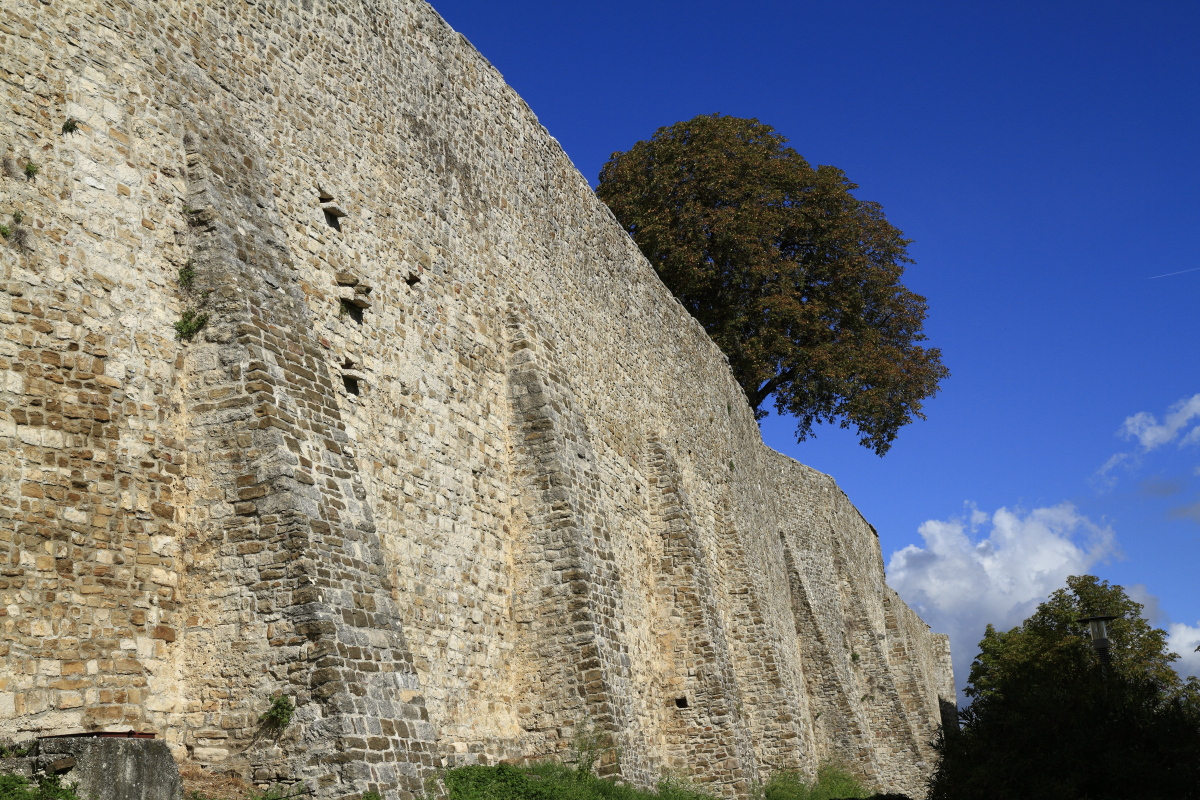 09.18 Istrien  MG 9563